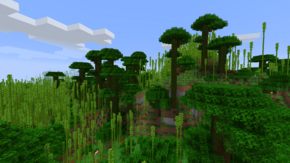 Холмистые бамбуковые джунгли.png